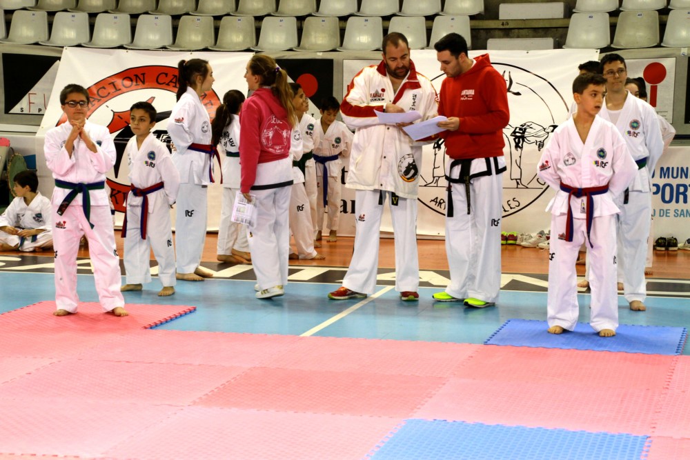 Taekwondo Dic 2016 (189).jpg